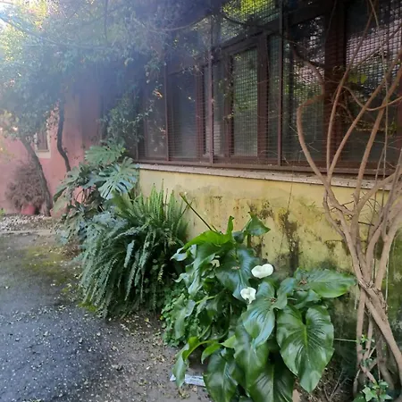 펜션 Terrazza Quintili - A Un Passo Dal Centro Di