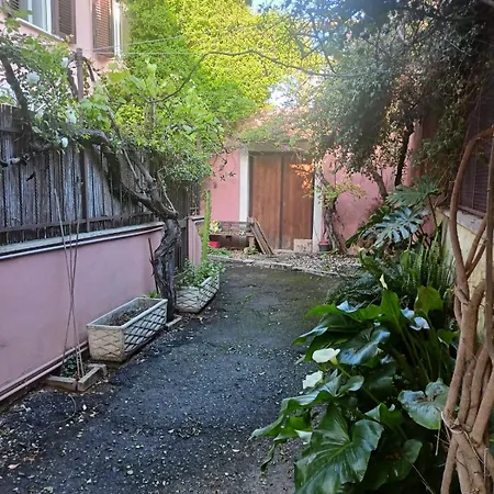 Terrazza Quintili - A Un Passo Dal Centro Di * 로마